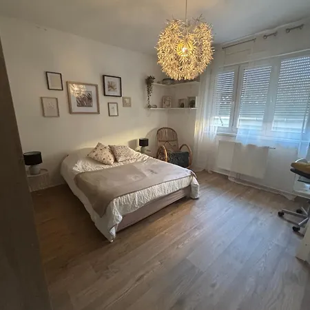 Appartement L'escapade Sélestadienne *